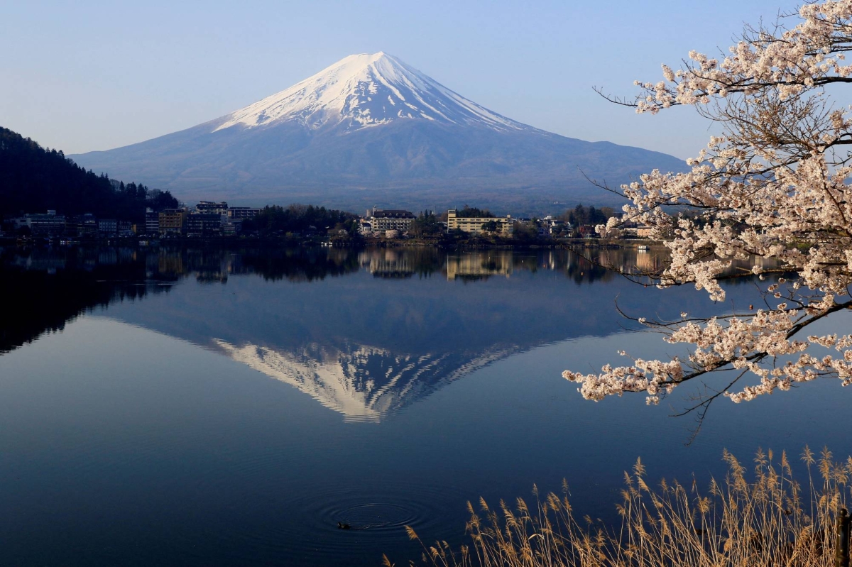 Yamanashi Seems To Be To Chinese Language Tram Because It Scraps Mount Fuji Railway Plan