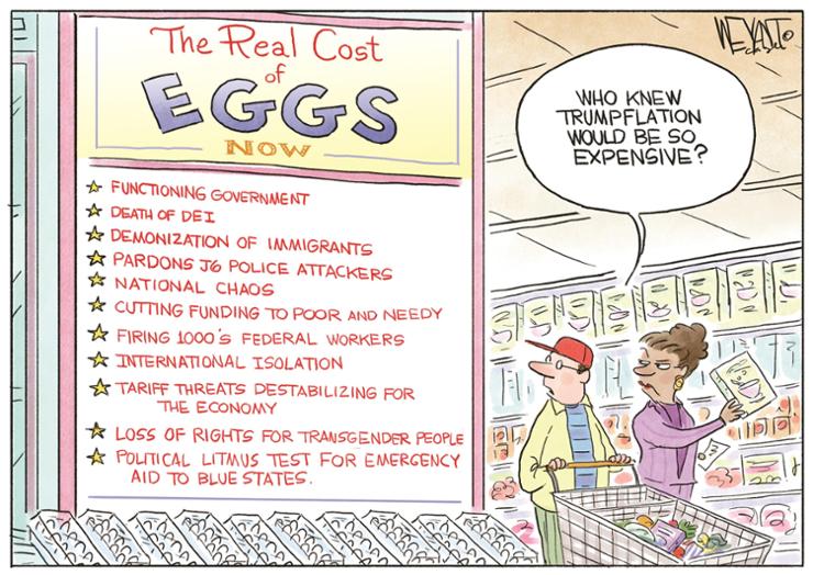 The Real Cost Of Eggs For Americans